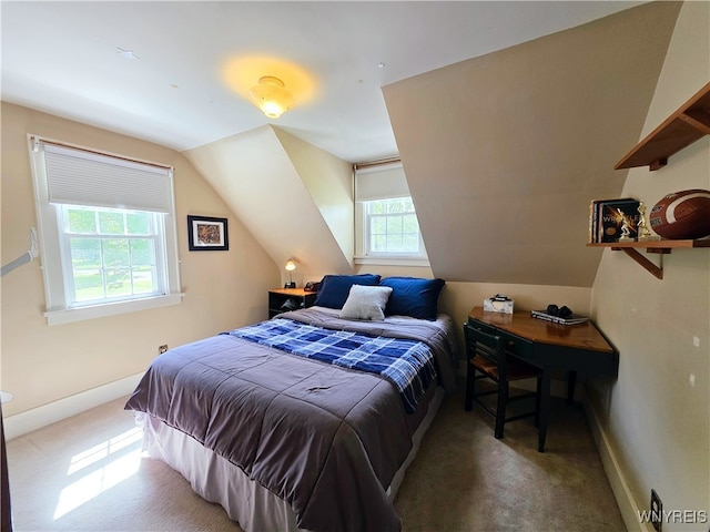 3666 S Hill Rd, Hamburg, NY 14075 - bedroom with carpet floors, vaulted ceiling, and baseboards