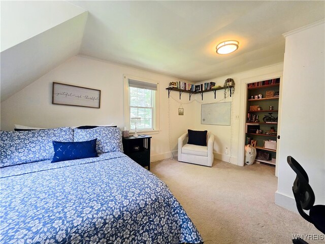 3666 S Hill Rd, Hamburg, NY 14075 - bedroom with carpet floors and vaulted ceiling