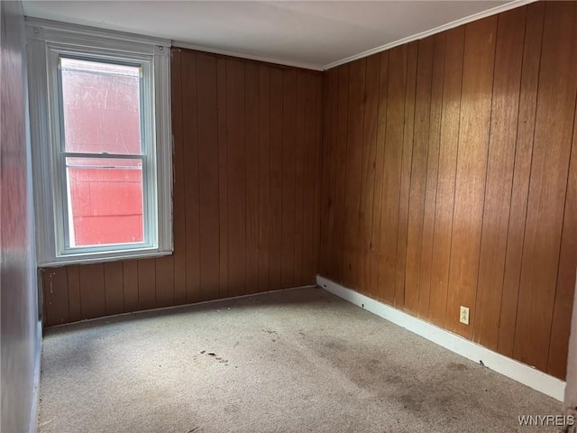 1306 E Lovejoy St, Buffalo, NY 14206 - empty room with carpet floors, wooden walls, and baseboards