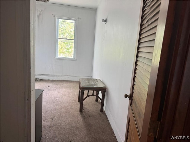 1306 E Lovejoy St, Buffalo, NY 14206 - corridor with carpet flooring and baseboards