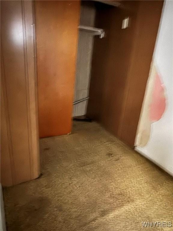 1306 E Lovejoy St, Buffalo, NY 14206 - hallway featuring carpet floors