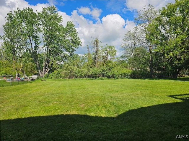 7742 Davis Rd S, Clay, NY 13212 - view of grassy yard