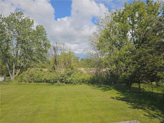 7742 Davis Rd S, Clay, NY 13212 - view of yard
