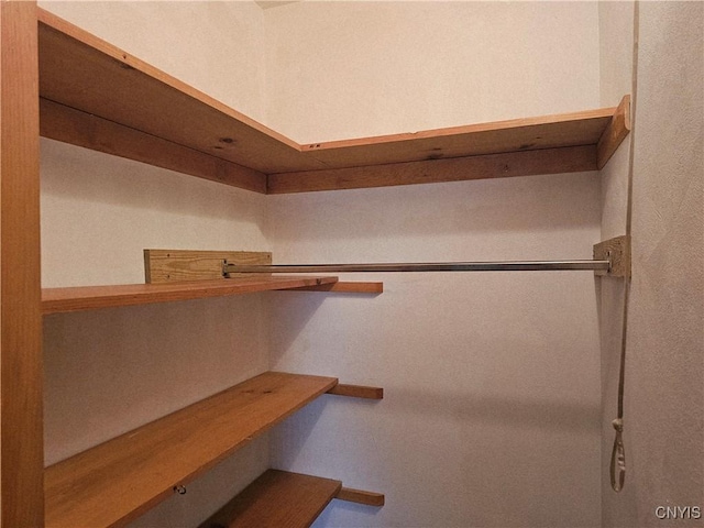 7742 Davis Rd S, Clay, NY 13212 - view of walk in closet