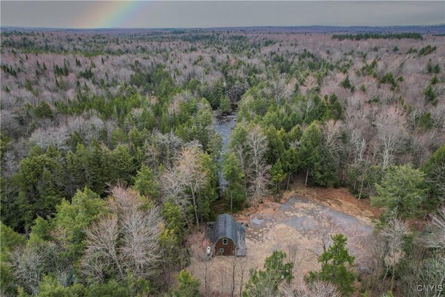 10964 Wild River Run, Remsen, NY 13438