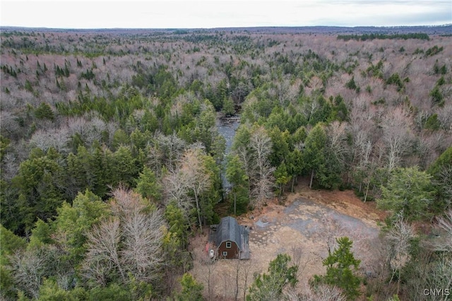 10964 Wild River Run, Remsen, NY 13438