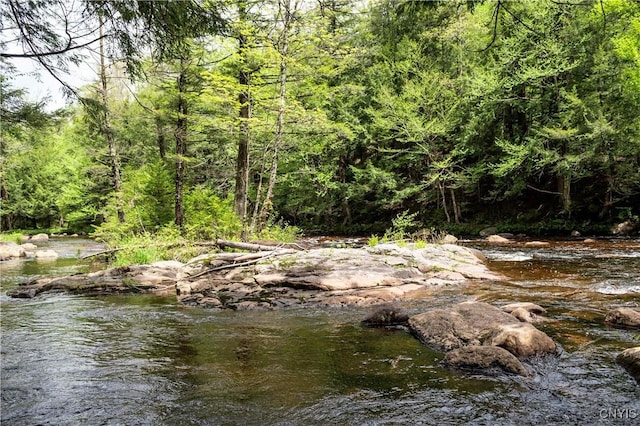 10964 Wild River Run, Remsen, NY 13438