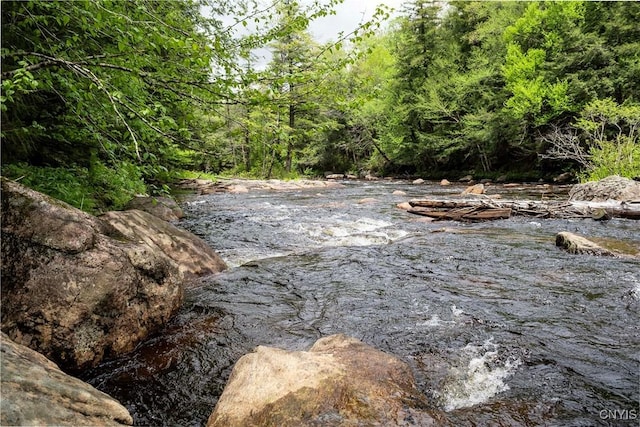10964 Wild River Run, Remsen, NY 13438