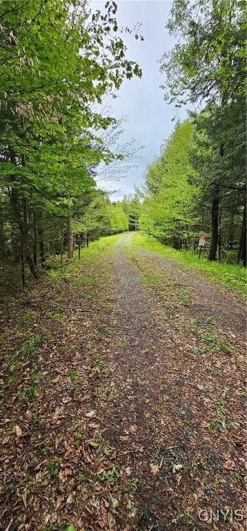 10964 Wild River Run, Remsen, NY 13438