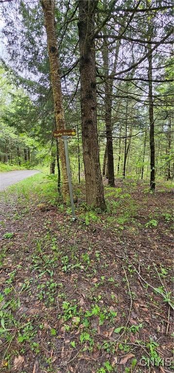 10964 Wild River Run, Remsen, NY 13438