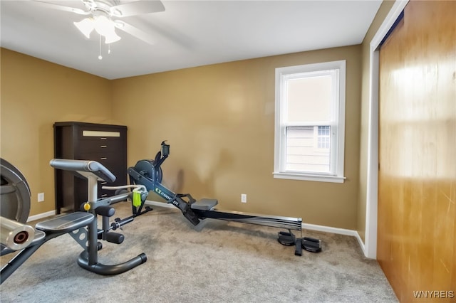 202 Tremaine Ave, Tonawanda-Town, NY 14217 - exercise room with baseboards, ceiling fan, and carpet flooring