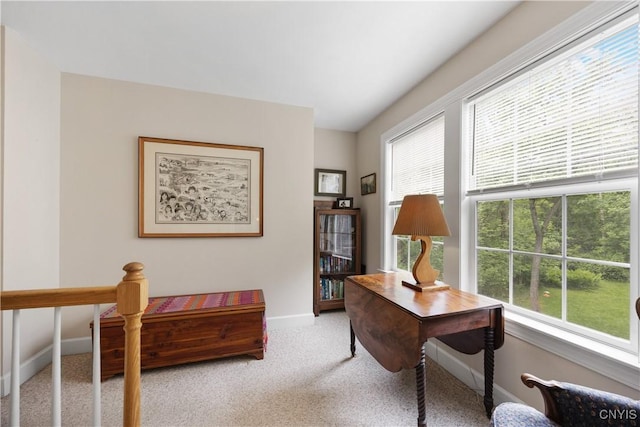 8105 Wilbarham Run, Pompey, NY 13104 - office space with baseboards and carpet