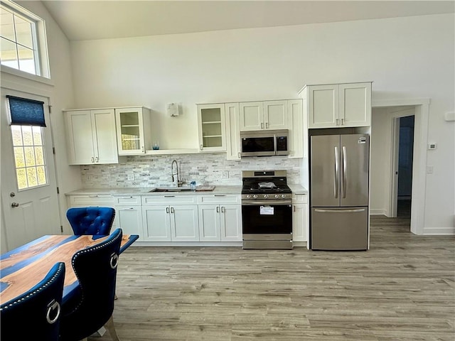 6731 County Road 12th Rd, South Bristol, NY 14512 - kitchen with stainless steel appliances, a sink, plenty of natural light, tasteful backsplash, and high vaulted ceiling