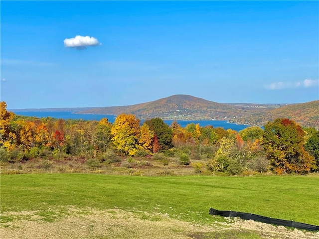 6731 County Road 12th Rd, South Bristol, NY 14512 - view of mountain backdrop