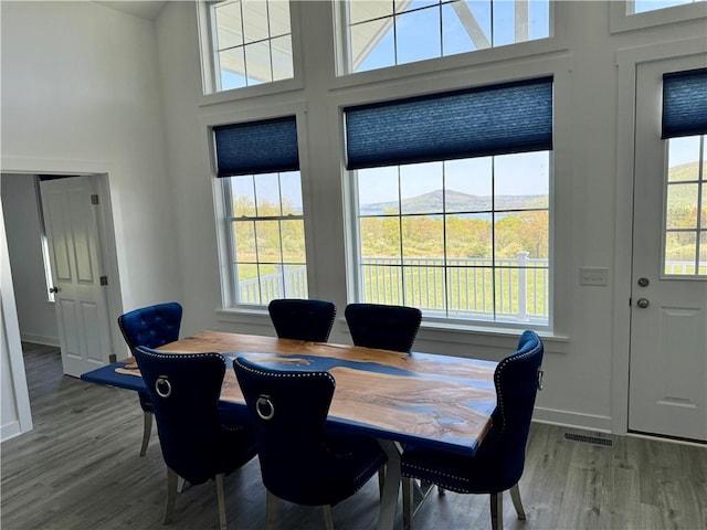 6731 County Road 12th Rd, South Bristol, NY 14512 - dining area with wood finished floors, baseboards, and a high ceiling