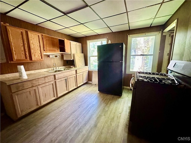 3628 S Salina St, Syracuse, NY 13205 - kitchen with freestanding refrigerator, gas range, light wood-type flooring, wood walls, and a sink