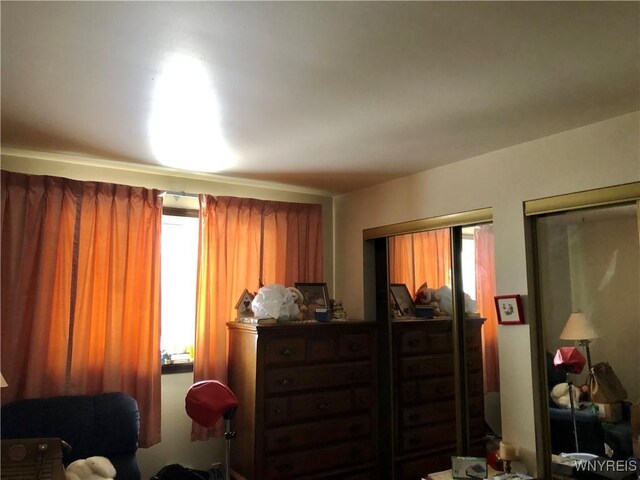 148 Marlin Rd, Grand Island, NY 14072 - bedroom featuring multiple windows