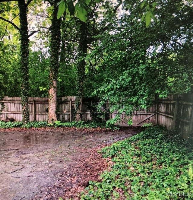 148 Marlin Rd, Grand Island, NY 14072 - view of yard