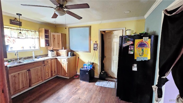 55 Lewis St, Buffalo, NY 14206 - kitchen featuring freestanding refrigerator, a sink, dark wood finished floors, ceiling fan, and crown molding