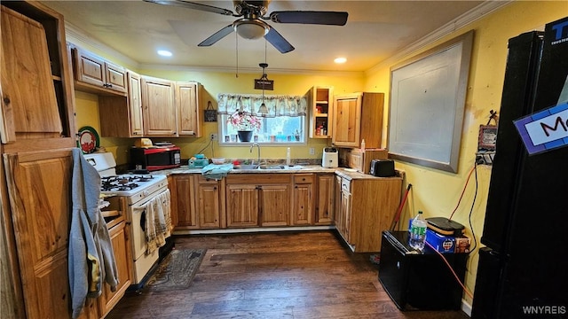 55 Lewis St, Buffalo, NY 14206 - kitchen with black appliances, a sink, ceiling fan, crown molding, and brown cabinetry