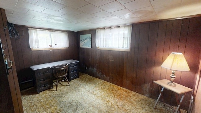 110 Furnace Hill Rd, Guilford, NY 13780 - office featuring wooden walls and carpet