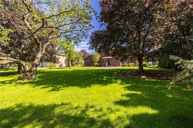 144 Guygrace Ln, Penfield, NY 14580 - view of green lawn