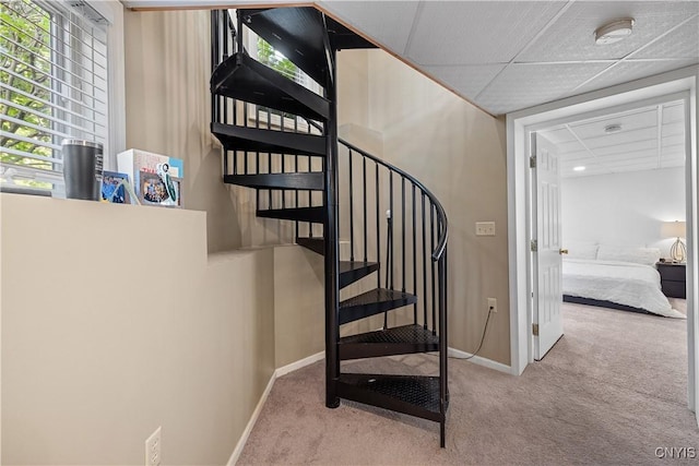 4011 College View Dr, Cortlandville, NY 13045 - photo 42