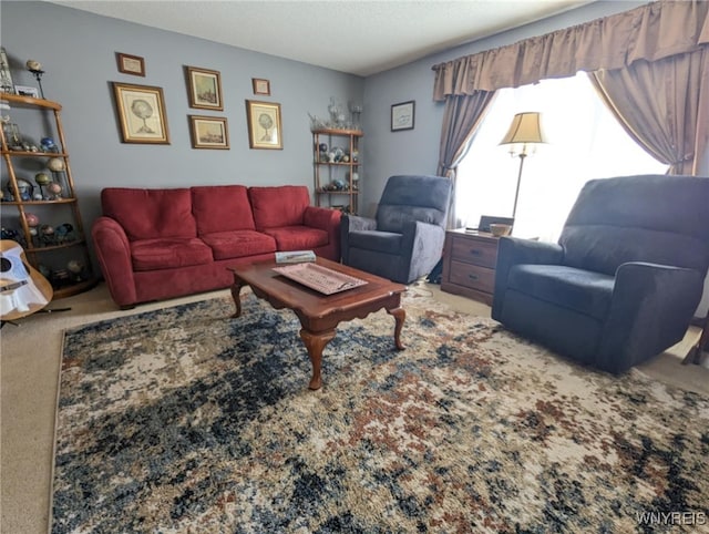 589 Briarwood Ln, Lewiston, NY 14092 - carpeted living room with a textured ceiling