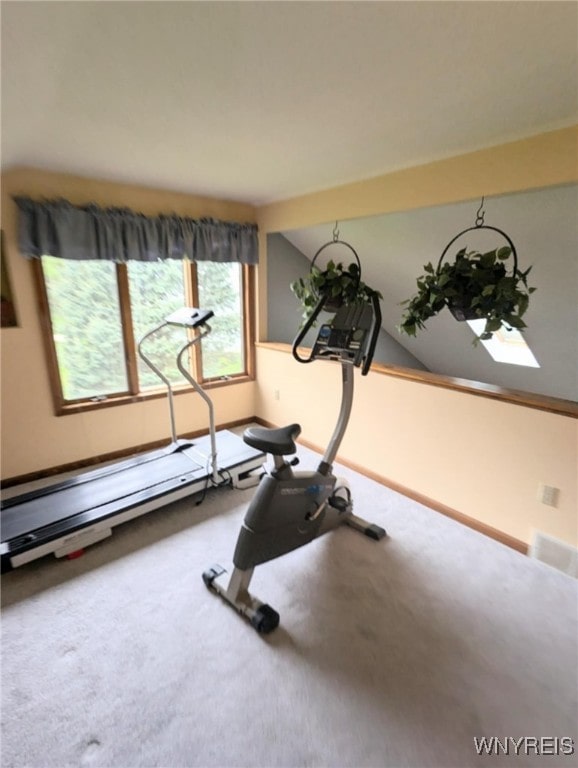 589 Briarwood Ln, Lewiston, NY 14092 - workout area with carpet, baseboards, and baseboard heating