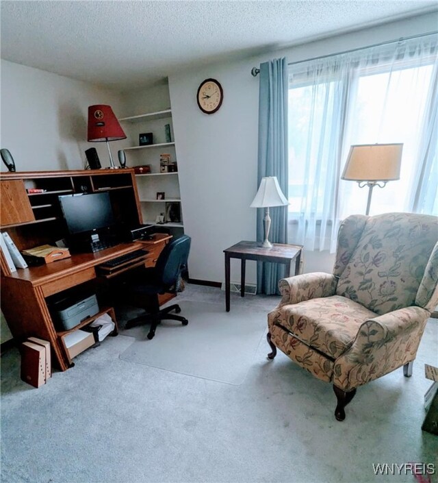589 Briarwood Ln, Lewiston, NY 14092 - carpeted office with a textured ceiling