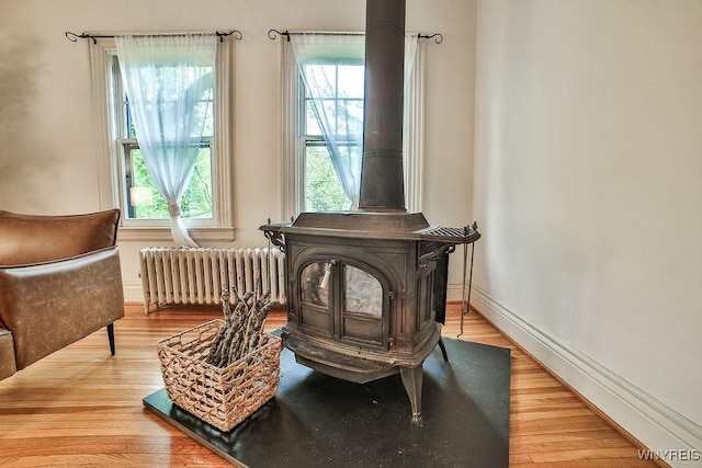 403 Elmwood Ave, Buffalo, NY 14222 - detailed view of radiator, wood finished floors, a wood stove, and baseboards