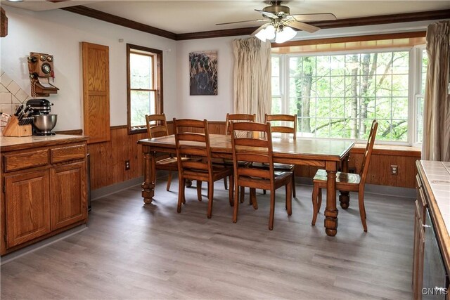 1466 Grant Rd, Russia, NY 13324 - dining area with healthy amount of natural light, crown molding, wainscoting, light wood-style floors, and ceiling fan
