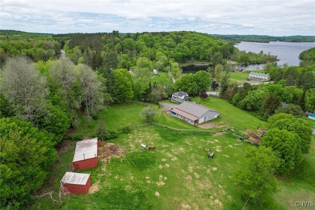 1466 Grant Rd, Russia, NY 13324 - aerial view of a large body of water and a heavily wooded area