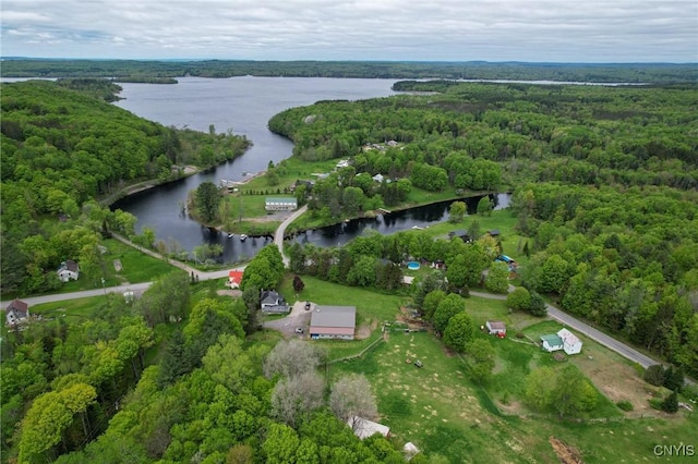1466 Grant Rd, Russia, NY 13324 - view of property location with a large body of water and a forest
