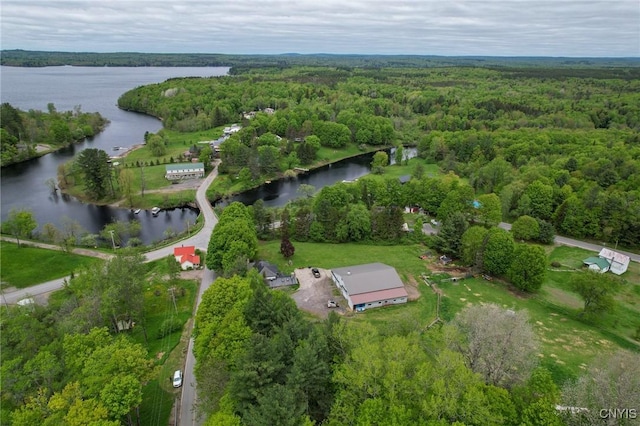 1466 Grant Rd, Russia, NY 13324 - aerial overview of property's location with a forest and a nearby body of water