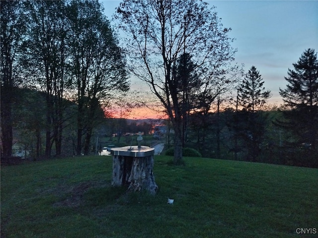 1466 Grant Rd, Russia, NY 13324 - yard at dusk with a yard