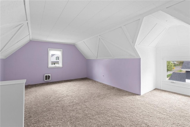 224 Lyell Ave, Ogden, NY 14559 - additional living space featuring healthy amount of natural light, vaulted ceiling, carpet, and heating unit