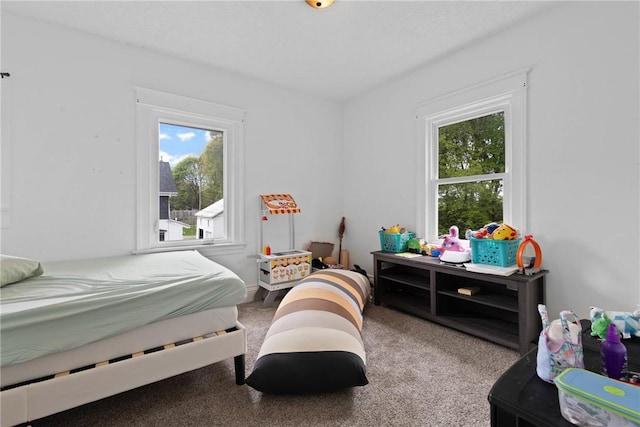 224 Lyell Ave, Ogden, NY 14559 - carpeted bedroom featuring multiple windows