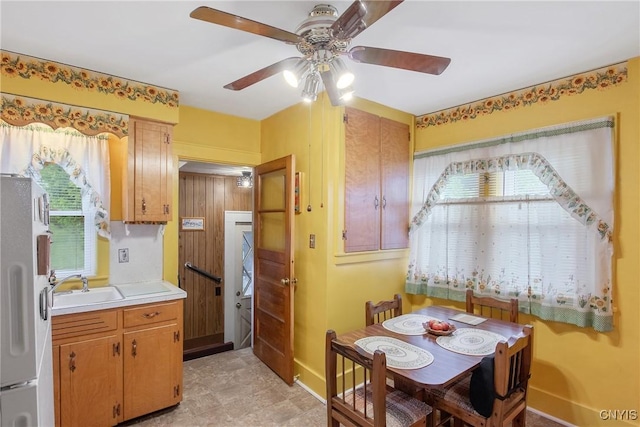 329 Hazelhurst Ave, Syracuse, NY 13206 - dining space featuring ceiling fan and healthy amount of natural light