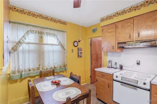 329 Hazelhurst Ave, Syracuse, NY 13206 - kitchen with white electric stove, under cabinet range hood, light countertops, and brown cabinets