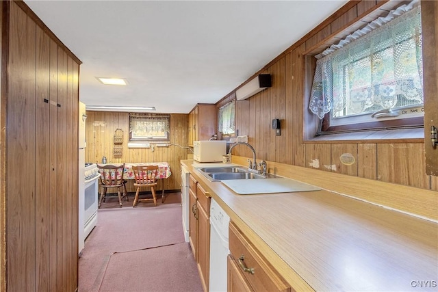 329 Hazelhurst Ave, Syracuse, NY 13206 - kitchen featuring wooden walls, a sink, white appliances, light countertops, and carpet
