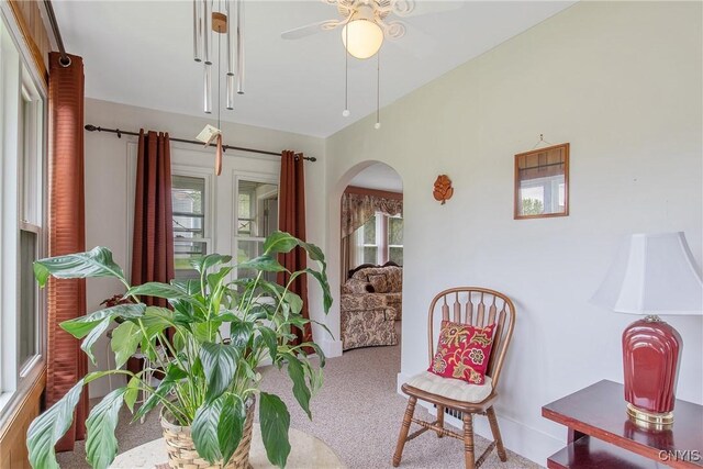 329 Hazelhurst Ave, Syracuse, NY 13206 - living area with arched walkways, a ceiling fan, and carpet