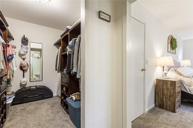 2935 Main St, York, NY 14533 - spacious closet with carpet flooring