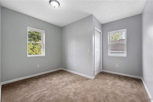 84 N Lewis St, Auburn, NY 13021 - photo 25
