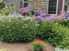 10280 Christy Rd, Sheridan, NY 14063 - view of yard