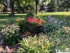 10280 Christy Rd, Sheridan, NY 14063 - view of yard with a garden