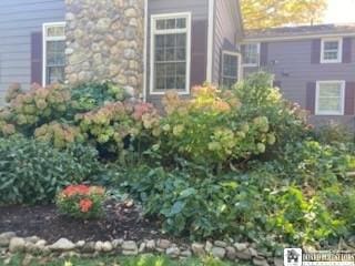 10280 Christy Rd, Sheridan, NY 14063 - view of side of home with stone siding