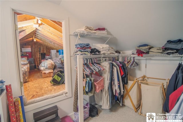 10280 Christy Rd, Sheridan, NY 14063 - spacious closet with lofted ceiling and carpet