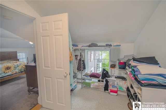 10280 Christy Rd, Sheridan, NY 14063 - bedroom with carpet floors, lofted ceiling, and baseboard heating