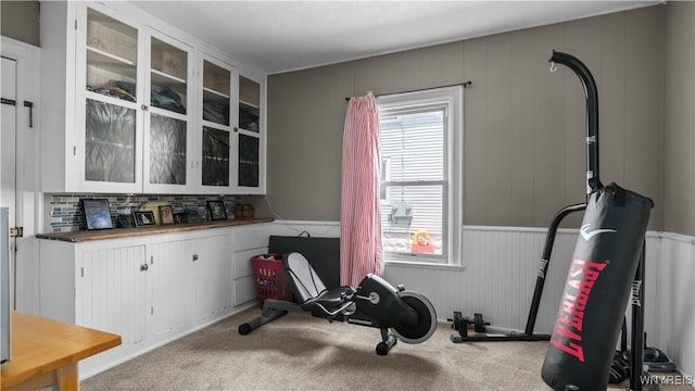 35 Duerstein St, Buffalo, NY 14210 - workout area with carpet flooring